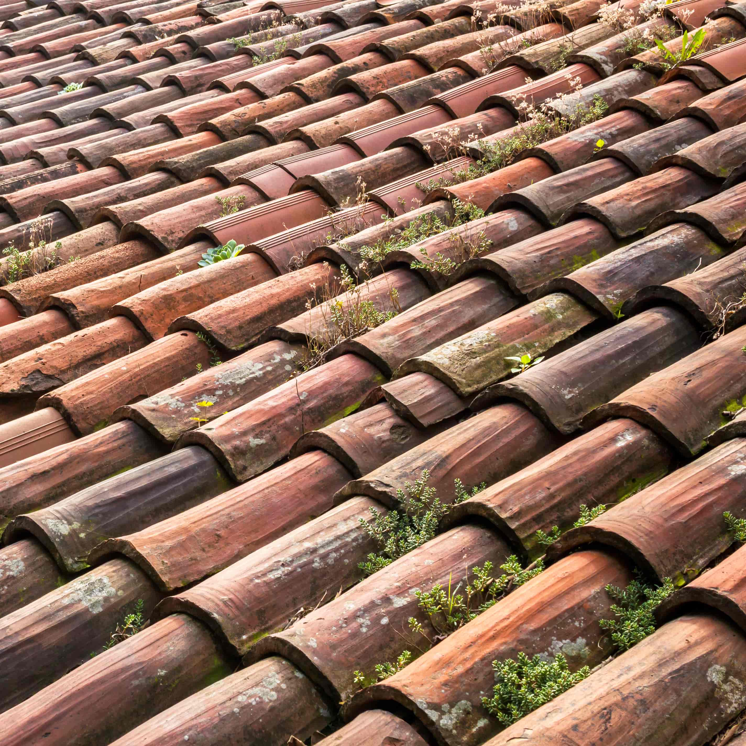 old tile roof